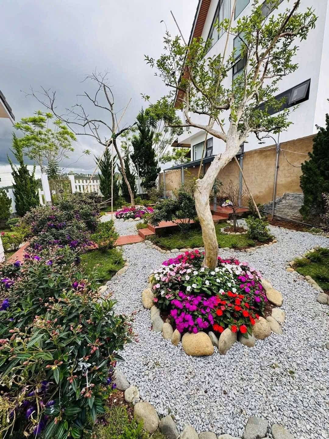 CẦN BÁN BIỆT THỰ MINI SIÊU ĐÁNG YÊU TẠI KHU RICH LAND – MĂNG LING 207m2 - Ảnh 4